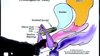 Squirting Tutorial 2 by Mr PussyLicking, featuring intense passion