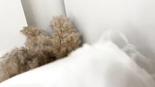 Guy sniffed panties and fucked curva in a wet pussy