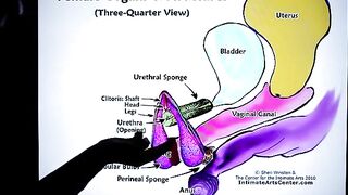 How to Squirt? The ultimate tutorial by Mr. PussyLicking!