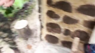 A couple got caught fucking in the jungle, what a coincidence!