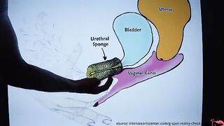 The best squirt tutorial is here! Learn how to squirt like a pro!