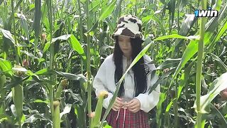 A security guard caught a thief in the cornfield and issued a ticket