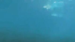Aquatic sex at the bottom of the sea