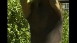 Man caresses his cock in the hayloft, feeling like a king