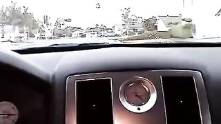 Nikki makes a blowjob right in the car, no need to go anywhere