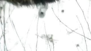 Winter street blowjob with a girl showing off her skills in public