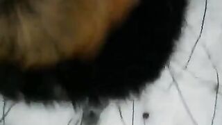 Winter street blowjob with a girl showing off her skills in public