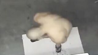 A naked man was seen in the shower by a hidden camera
