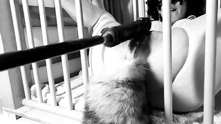 A day in the life of a Kitten: Ep.1 - Squirting on her tail